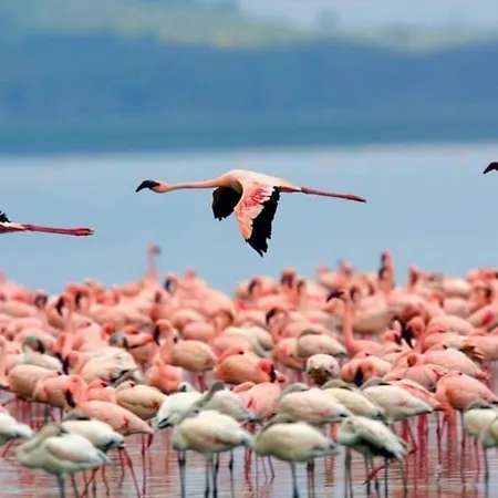 Sardinian Wind House , Sud Sardegna 度假居